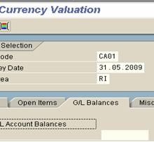 corsi sap online - sapprofession