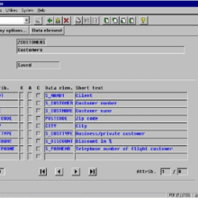 programmazione abap data modeler