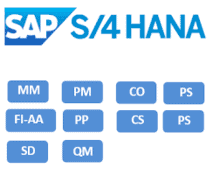 moduli sap