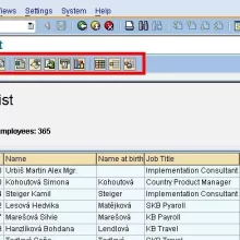 sap report 11