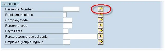 SAP-Report8 sap report 8